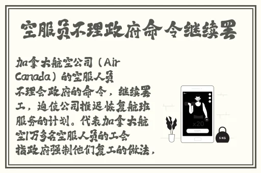 菠萝蜜官网